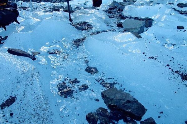 紐西蘭冰河歷險-法蘭克福冰河健行183360