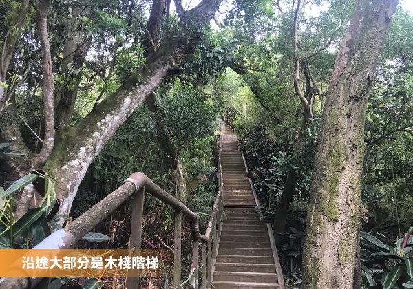 新店獅頭山（小獅山）步道，長春路至中興路單程一小時，1.6 公里1487214