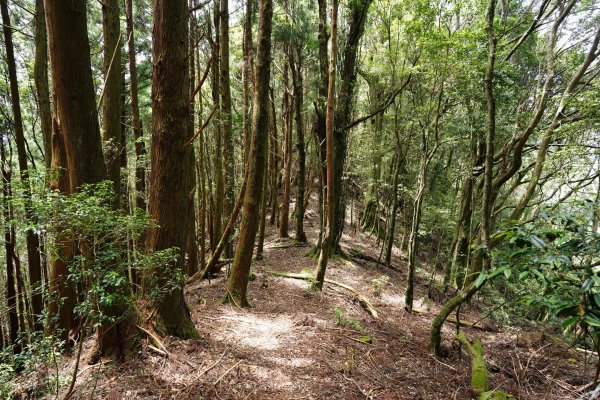新竹 五峰 油羅山、霞山2798301