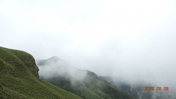 雲山水花鳥蝶 - 天龍國阿伯的日常5/61705612