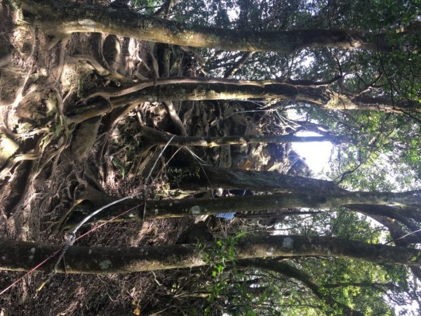 仙山（靈洞宮、協靈宮2723185