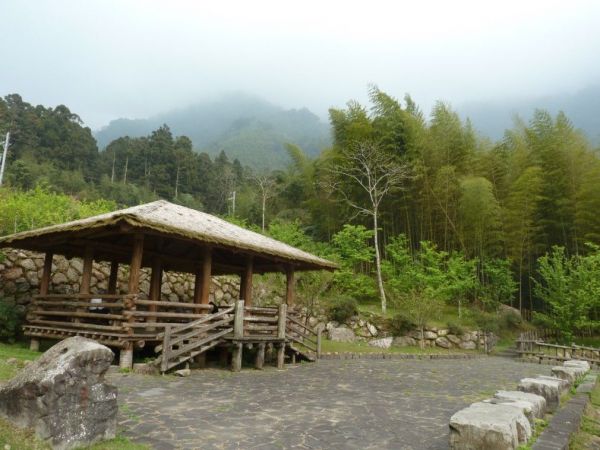 阿里山迷糊步道102434