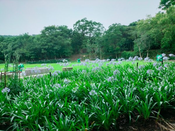 內雙溪自然中心步道(台北小溪頭2812122