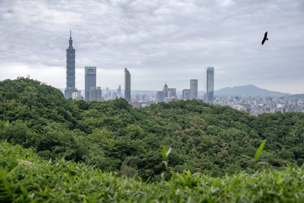 四獸山/九五峰3135562