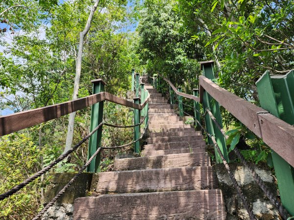 小百岳No.52⛰後尖山2555317