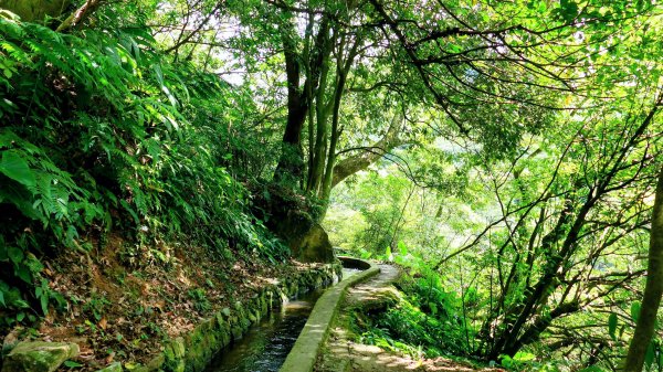 番王厝,番婆厝,王子厝,公主厝2827595