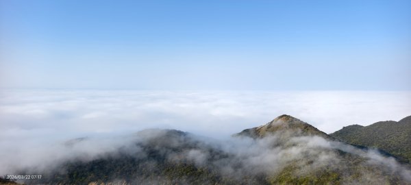 #大屯山 #雲海 3/223019613