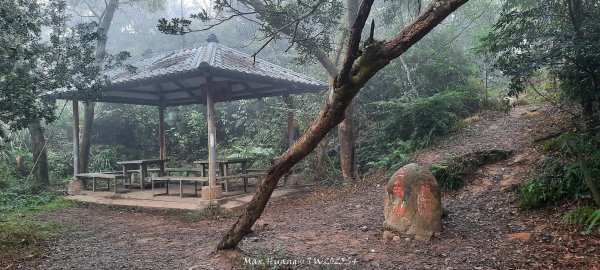 《苗栗》霧雨寒流｜三義三角山步道20251225