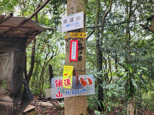 小百岳No.15⛰大棟山(龜崙山)2849763