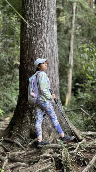 20251005小百岳金柑樹山2906996