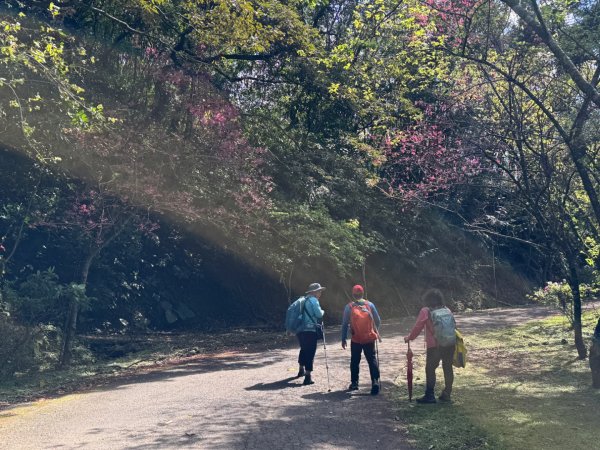 二格山走南邦寮山經草湳福德宮回二格公園3005497