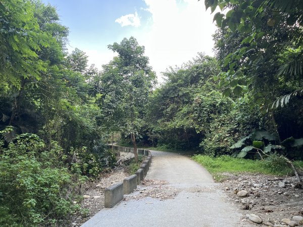 [百山百鳥尋旅-04/15] 2025_0817 龍過脈森林步道2863236