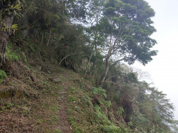竹子尖山(小百岳#67)：梅龍步道、山稜線步道、觀音步道、階梯步道1377539