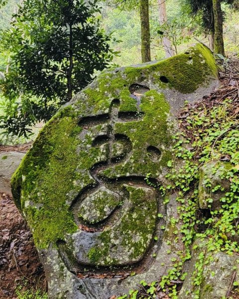 內寮古道石雕秘境寫真+陽明山16草原2499684