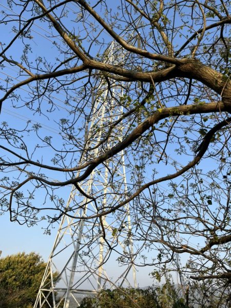 大坑9-1號步道2732246