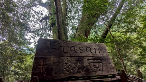 鎮西堡巨木步道群 (B區)2861151