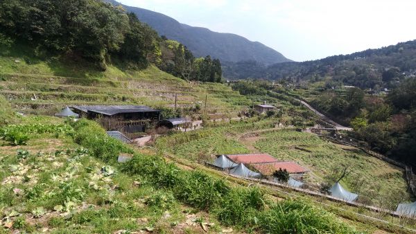 群山環抱竹子湖封面