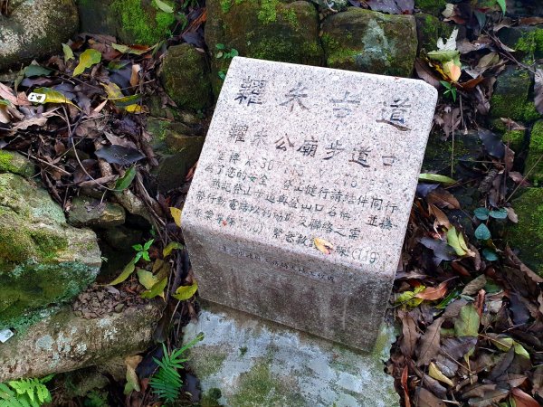 台北大縱走第六段縮減版，富陽生態自然公園，福州山，中埔山東峰，軍功山，拇指山，糶米古道，烏來瀑布1697351