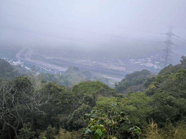 2025-03-08 汶水三山：金童山、汶水山、玉女山 連走2736541