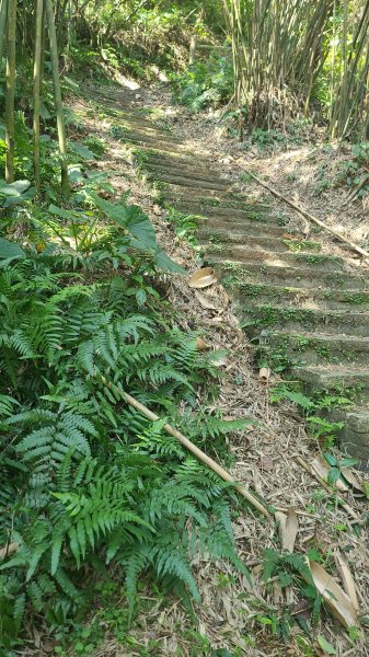 2025-0130溪和宮-大崎頭步道-鵝尾山-平溪步道-鵝尾山水田-42巷-溪山百年古圳-平菁步道2701924