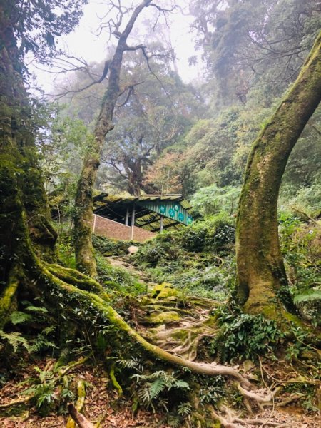 2019/03/02 北大武542007