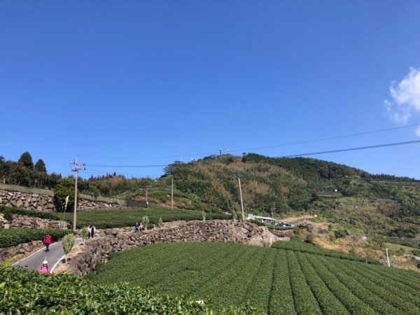 嘉義縣番路鄉二延平山1965543