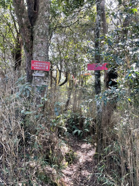 2020/03/12 那結山＆貴妃山 O形縱走1650320