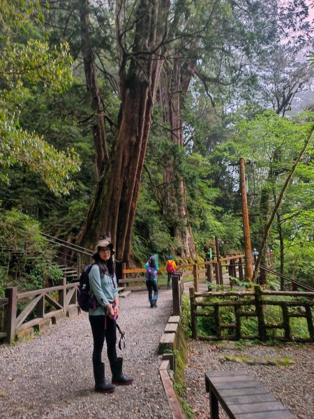 1130511夫拉縱走2500182