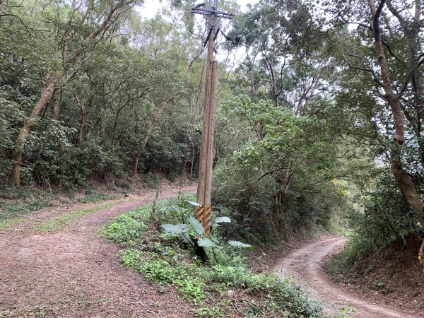 20250127屏東坪埔厝山-草山-南湖呂山西峰-南湖呂山2705098