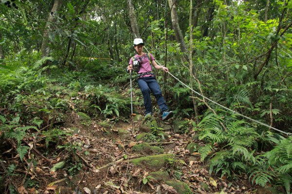 淡蘭古道北路坐山望海1253897