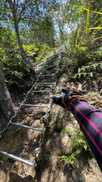 微笑山⛰️線-大棟-二格山-五分山-天上山-鳶山💎12條步道完成💙2841445