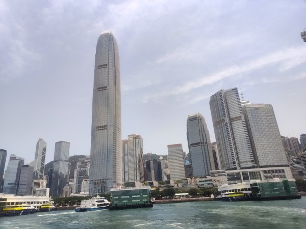 香港長洲鳥2504626