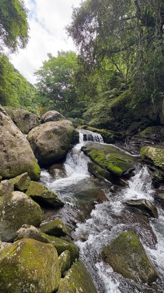 戲水（鴛鴦2786716