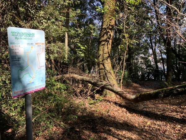 梨山賓館步道875977