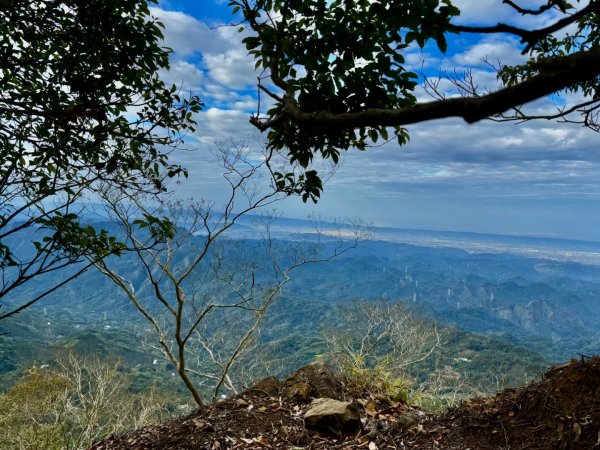 走大橫屏山九份二山(小百岳#45、47)賞梅去2695062