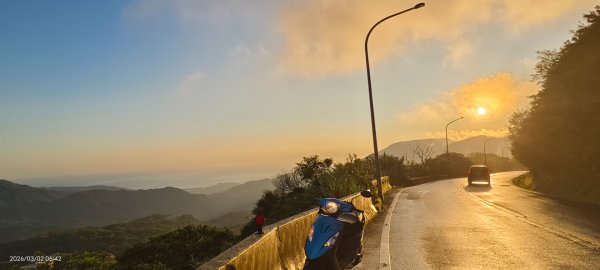 追花是簡單的快樂，賞花是恬淡的幸褔 3/2&73008756