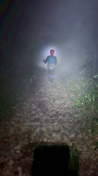 20251106北大武山步道☁️ 喜多麗雲海2931342