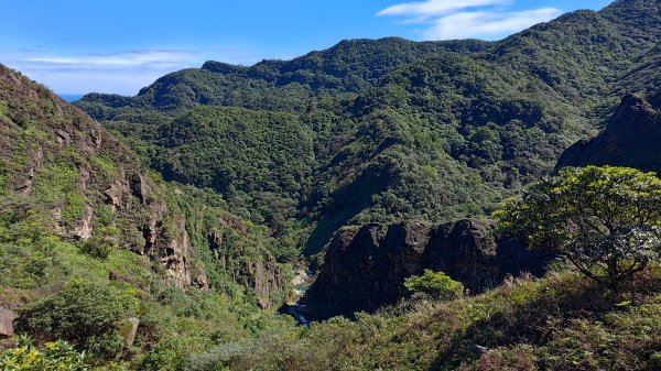 瑞芳小錐麓2714460