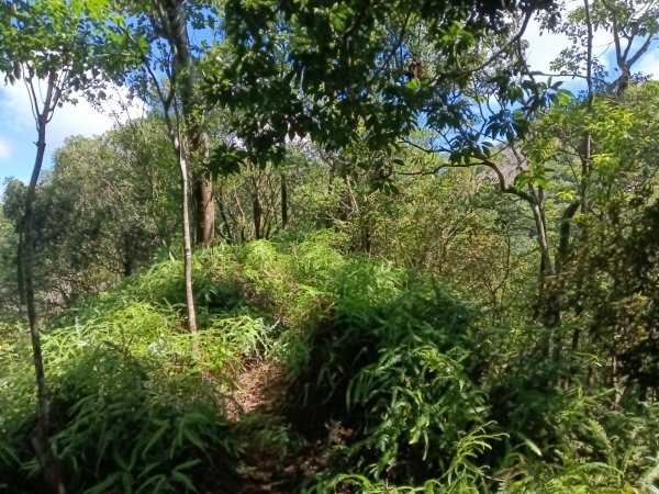 平溪區灰窯山驚險岩稜+司公碗帽山O型2897929