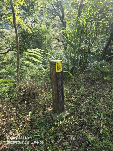 2026-03-15微笑山線：【二格山系】皇帝殿稜線段3016090