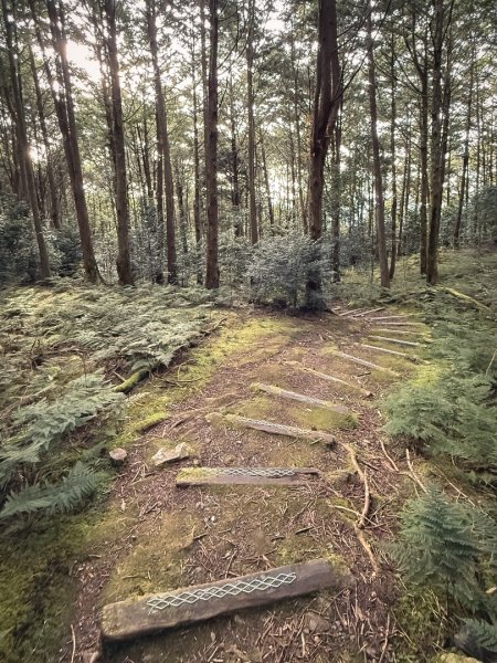 船型山林道賞雲海、烏石坑山、2432峰 山景海景一次到位2929318
