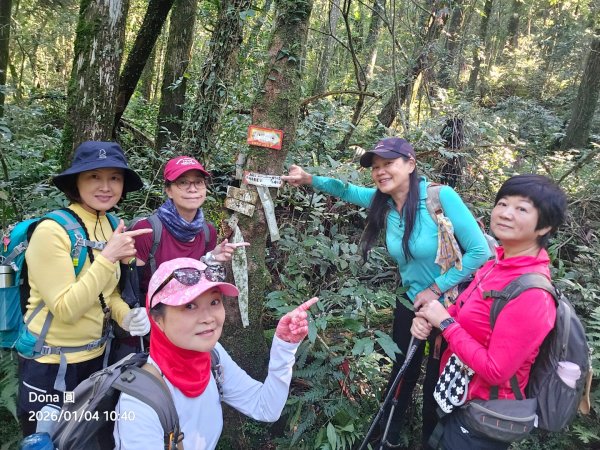 20260104源茂山.源茂山西峰.和尚髻山O走+親水觀魚步道2977714