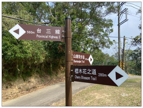 小北埔山、茶香小徑、櫻木花之道連走2759719