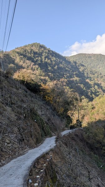 環山獵人登山步道3021027