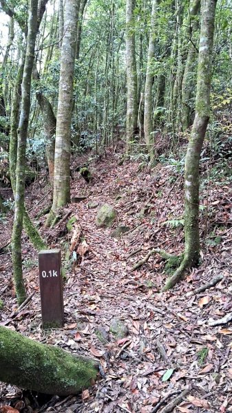 20230622 苗栗-雪見 東洗水山及北坑山 走走2192987