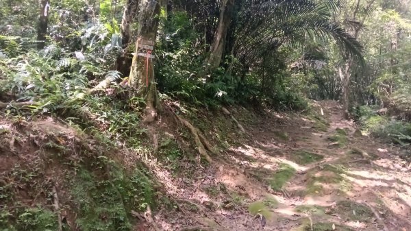 平溪區碩仁里-幼坑古道-幼坑山-幼坑山南鞍-大平林山-番子坑生態園區-番子坑3086157