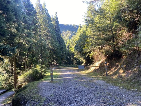 觀霧森林遊樂區（榛山及檜山巨木步道）3060127