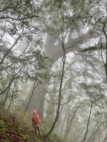 南橫三星 庫哈諾辛山 塔關山 關山嶺山2754851