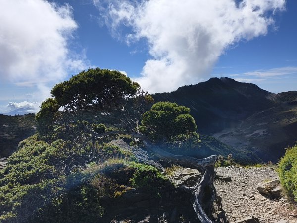北一段(11/14)南湖北峰 2025_0906~132887290