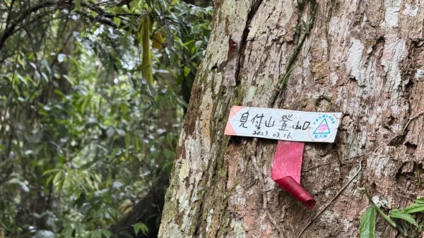 六龜警備線南段（藤枝-茂林）2天1夜2758253